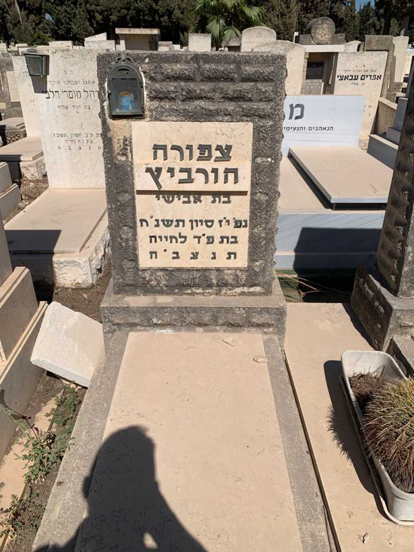 קברו של צפורה הורביץ. תמונה 2