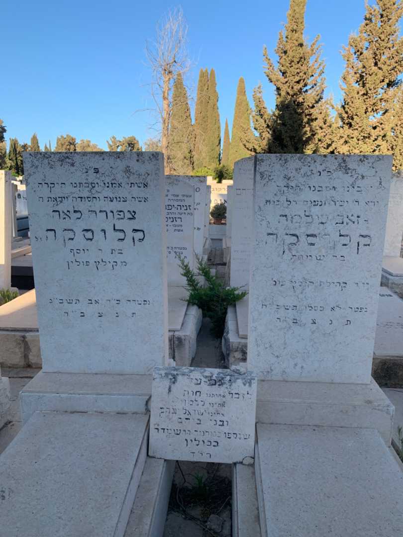 קברו של צפורה לאה קלוסקה. תמונה 1