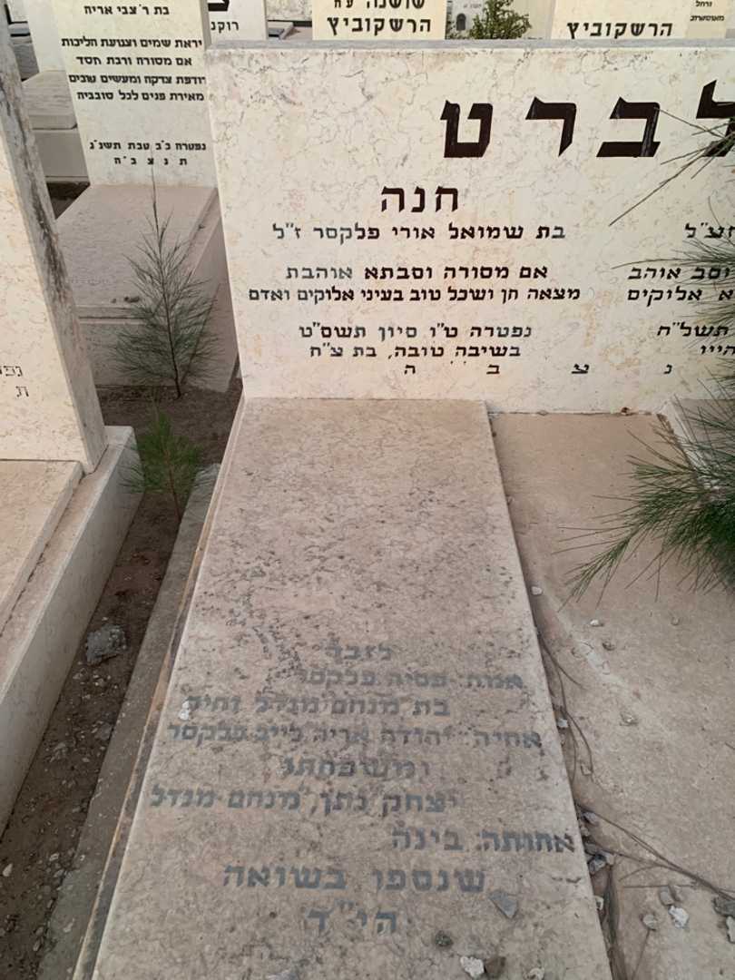 קברו של פסיה פלקסר. תמונה 2