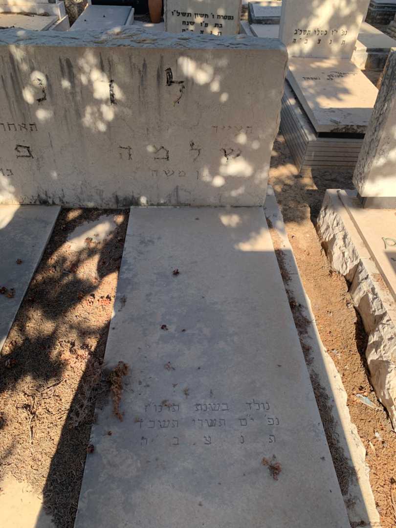 קברו של שלמה לדנר. תמונה 2