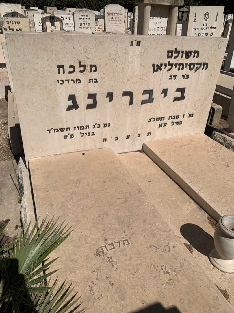 קברו של מלכה ביברינג. תמונה 3