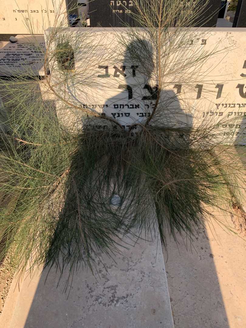 קברו של זאב שוויצר. תמונה 2
