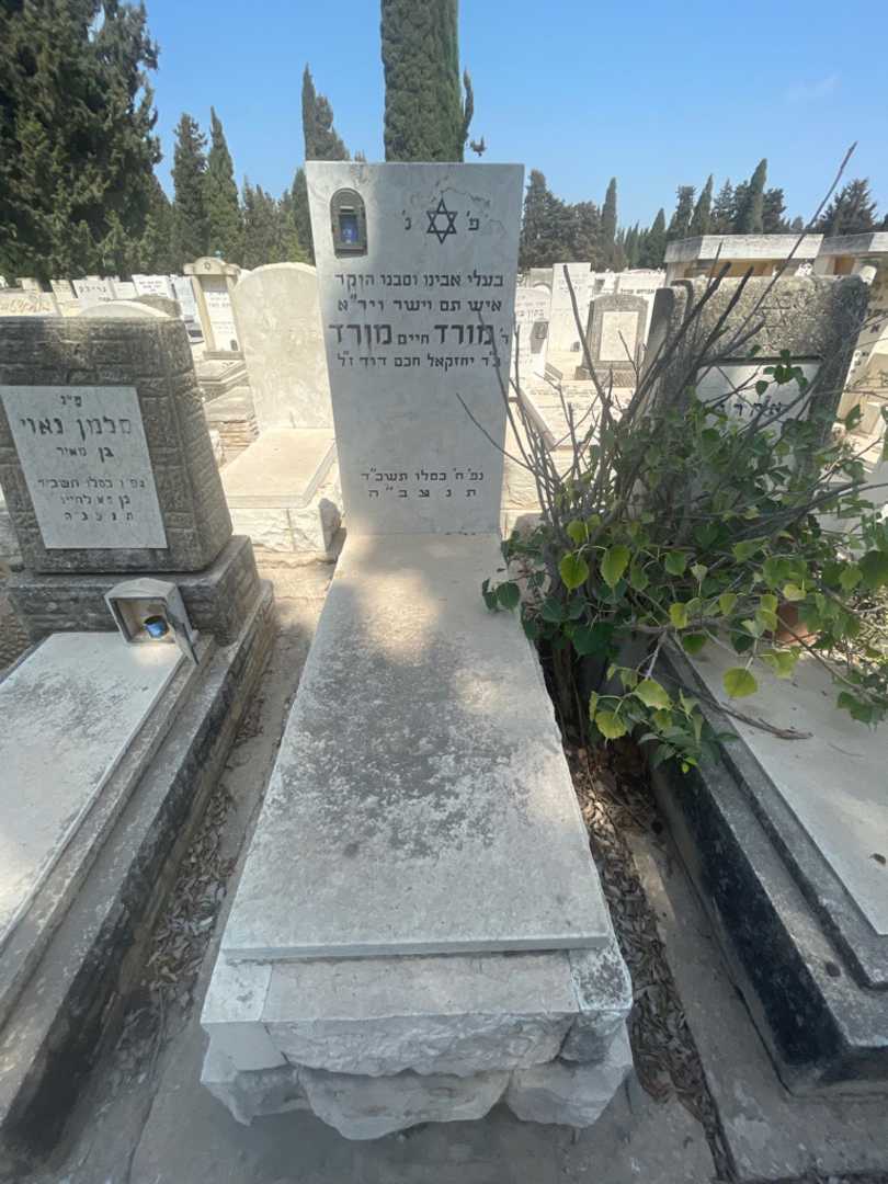 קברו של מורד "חיים" מורד