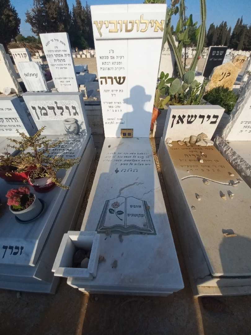 קברו של שרה אילוטוביץ