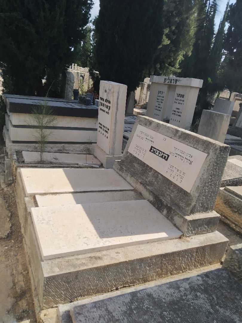 קברו של אהרן מרדכי רוזנצויג. תמונה 2