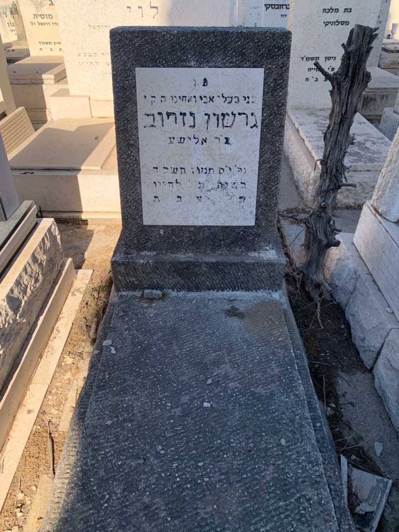 קברו של גרשון נזרוב