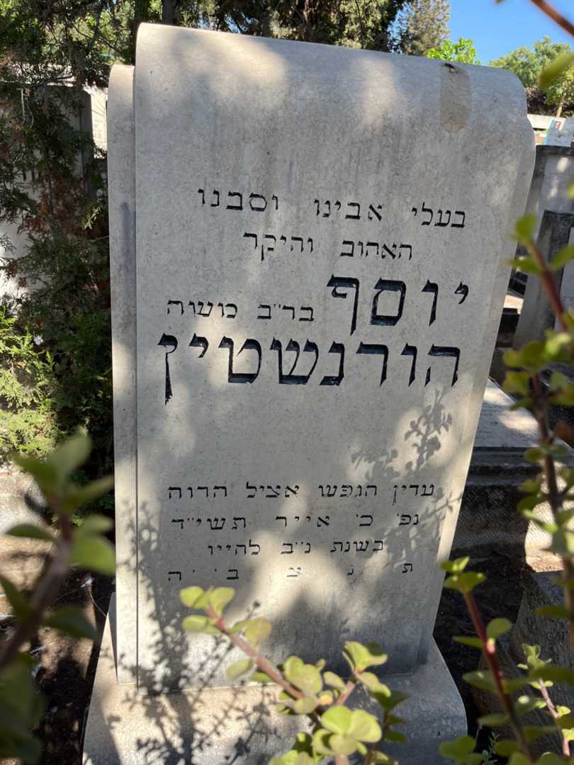 קברו של יוסף הורנשטיין. תמונה 2