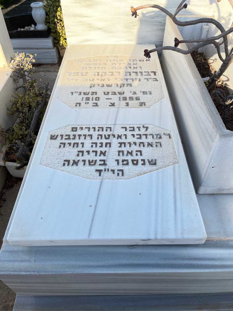 קברו של דבורה רבקה טפר. תמונה 1