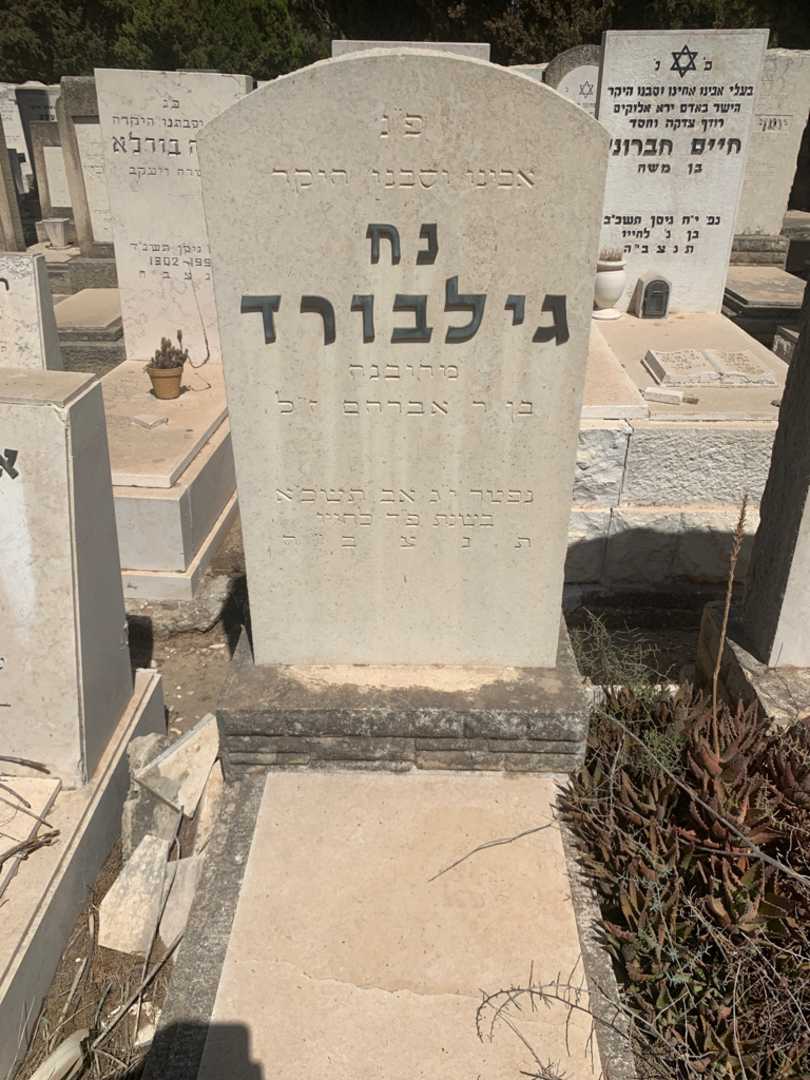 קברו של נח גילבורד. תמונה 1