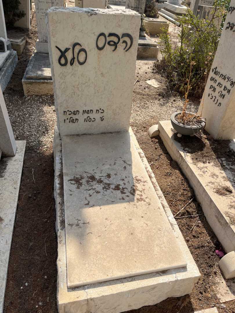 קברו של הדס סלע