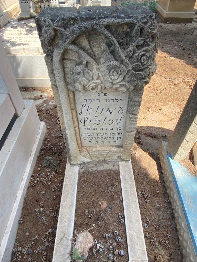 קברו של עמנואל ליבוביץ