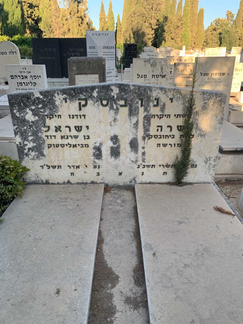 קברו של שרה ינובסקי. תמונה 1