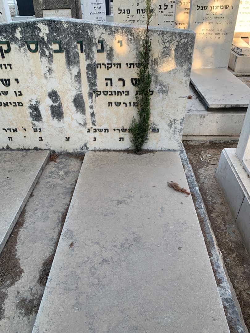 קברו של שרה ינובסקי. תמונה 2