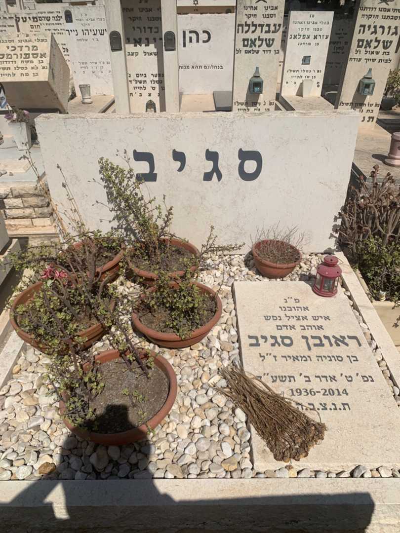 קברו של ראובן סגיב. תמונה 2