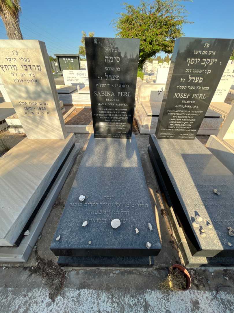 קברו של סימה פערל. תמונה 2