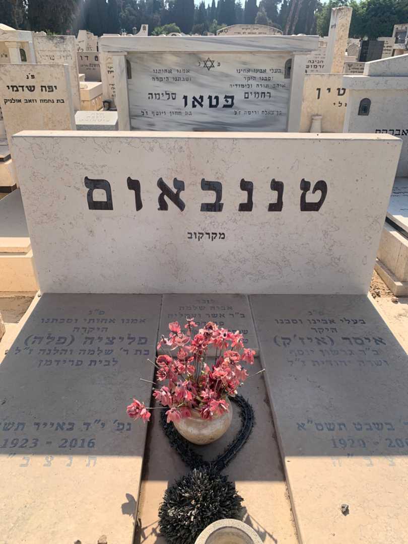 קברו של שלמה פרידמן. תמונה 1