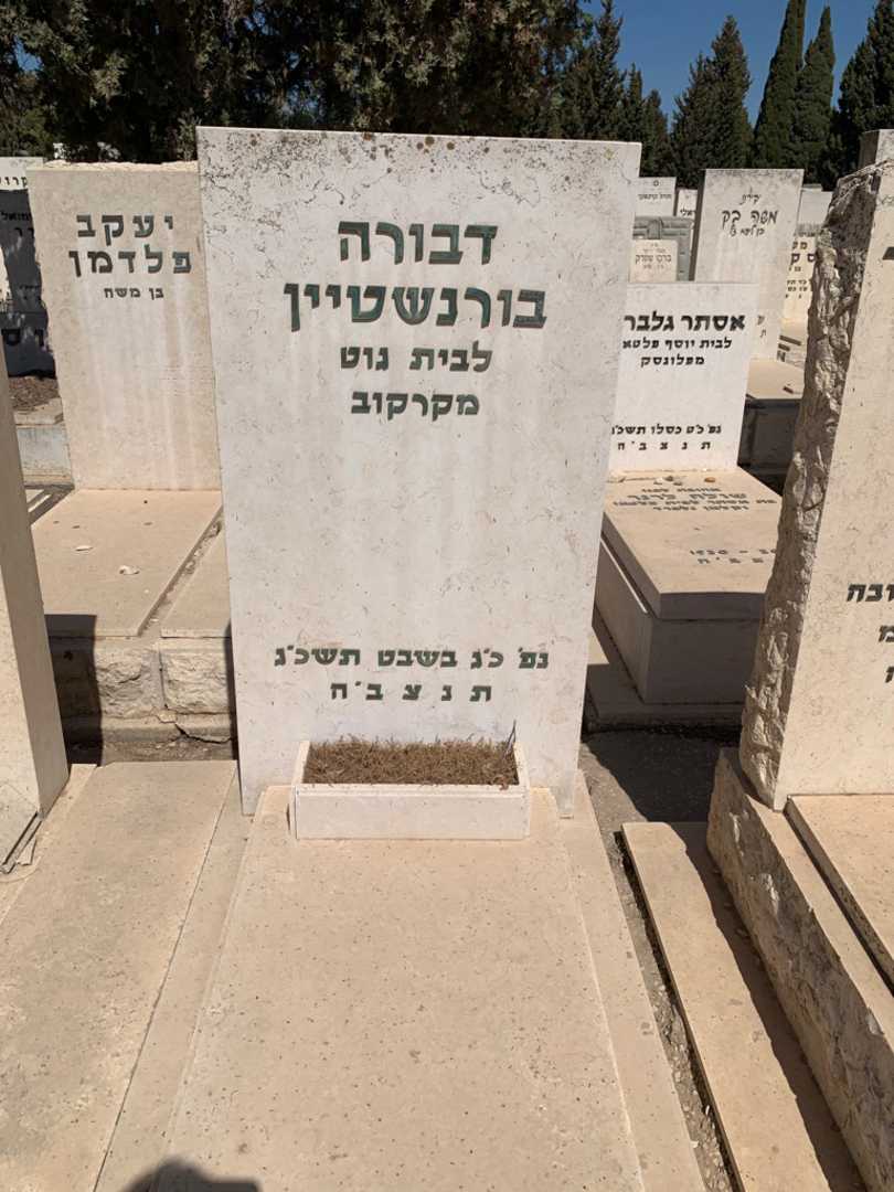 קברו של דבורה בורנשטיין. תמונה 2
