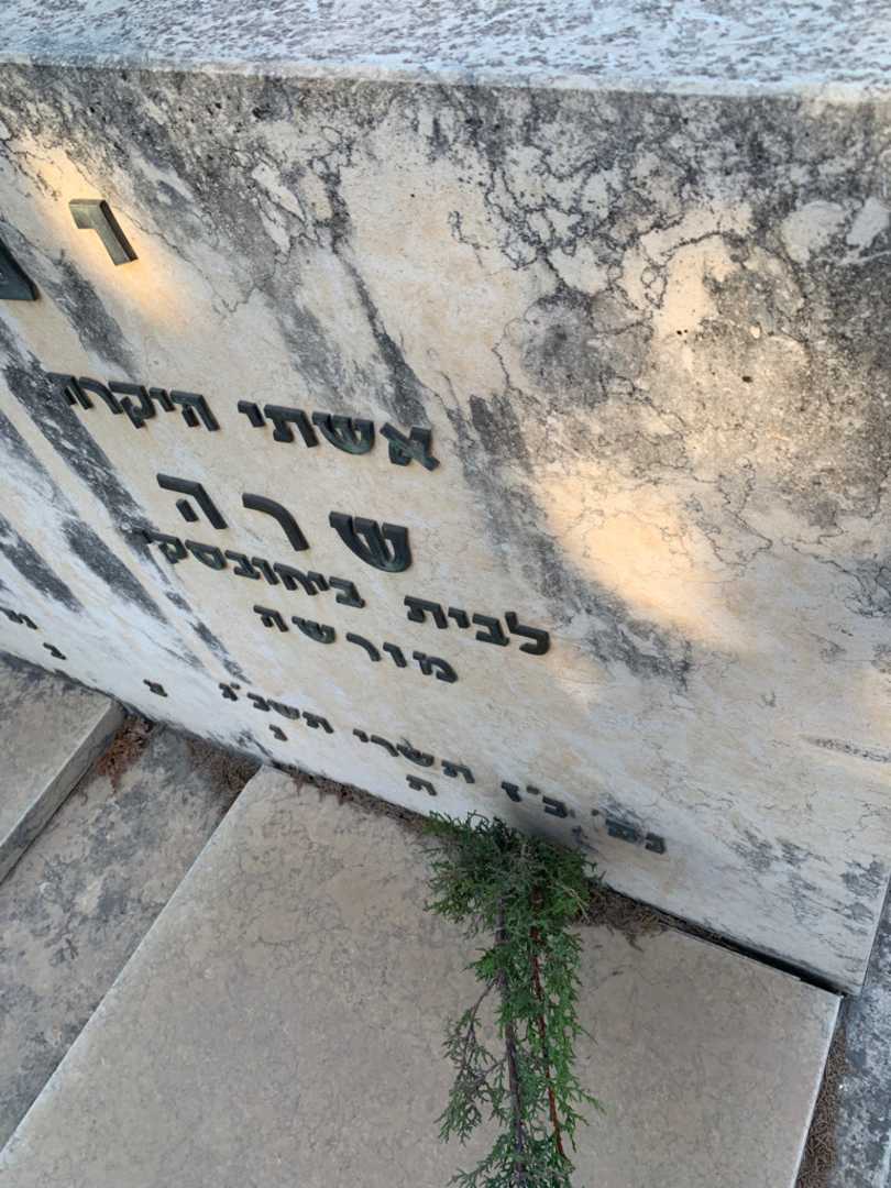 קברו של שרה ינובסקי. תמונה 3