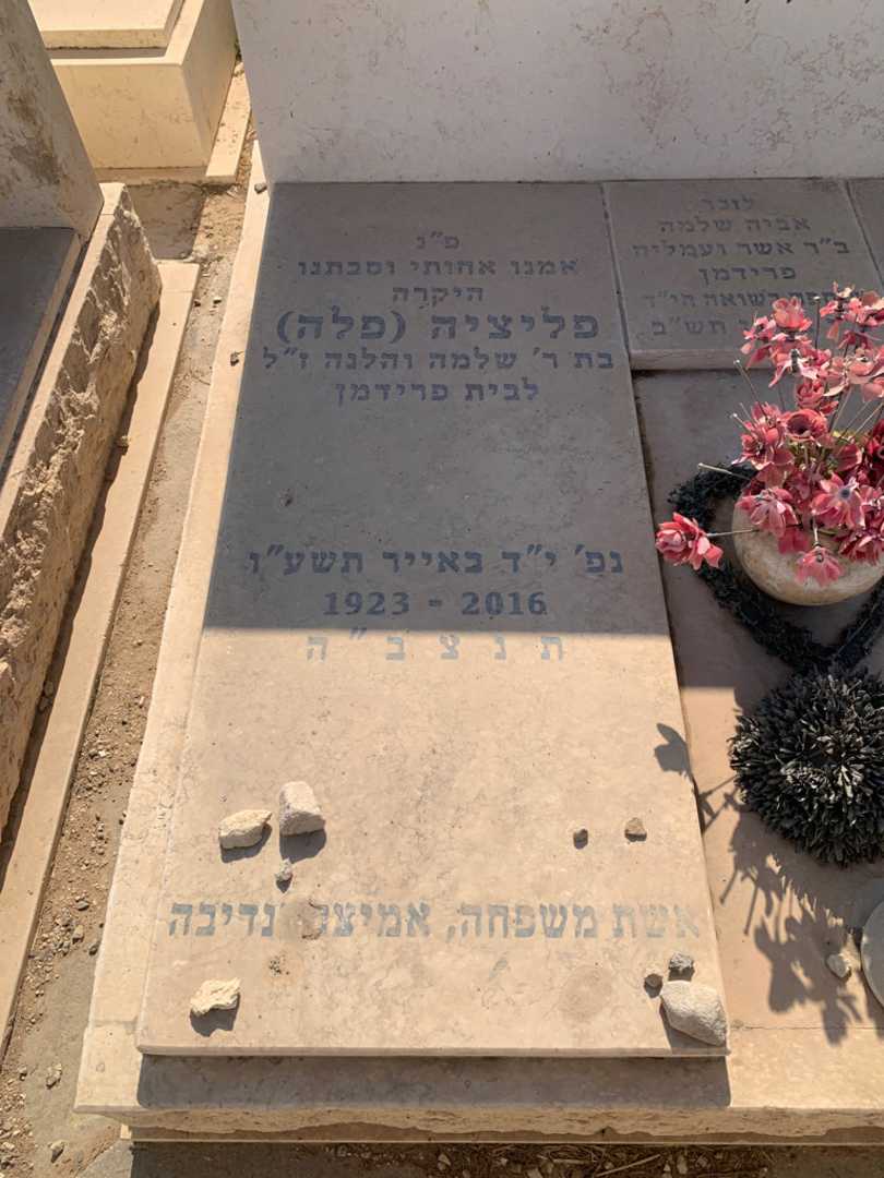 קברו של שלמה פרידמן. תמונה 2
