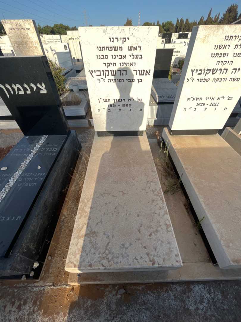 קברו של אשר הרשקוביץ. תמונה 2