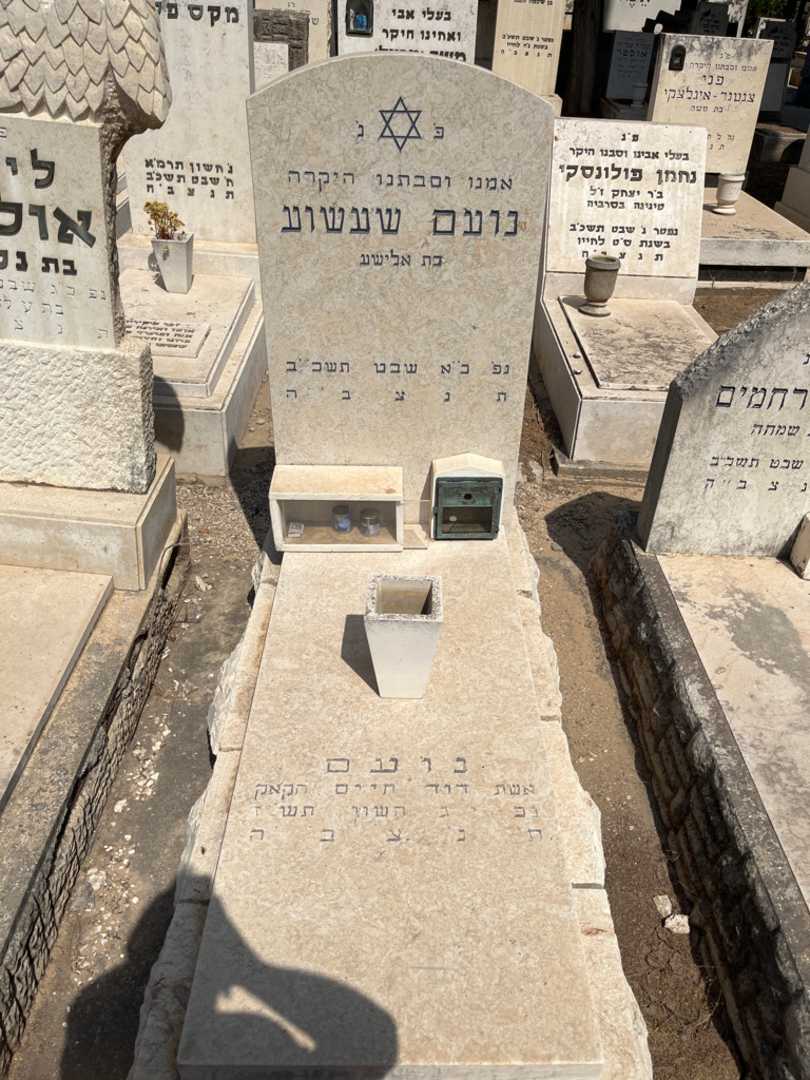 קברו של נועם שעשוע