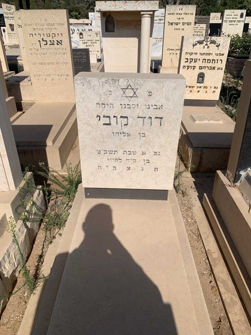 קברו של דוד קובי