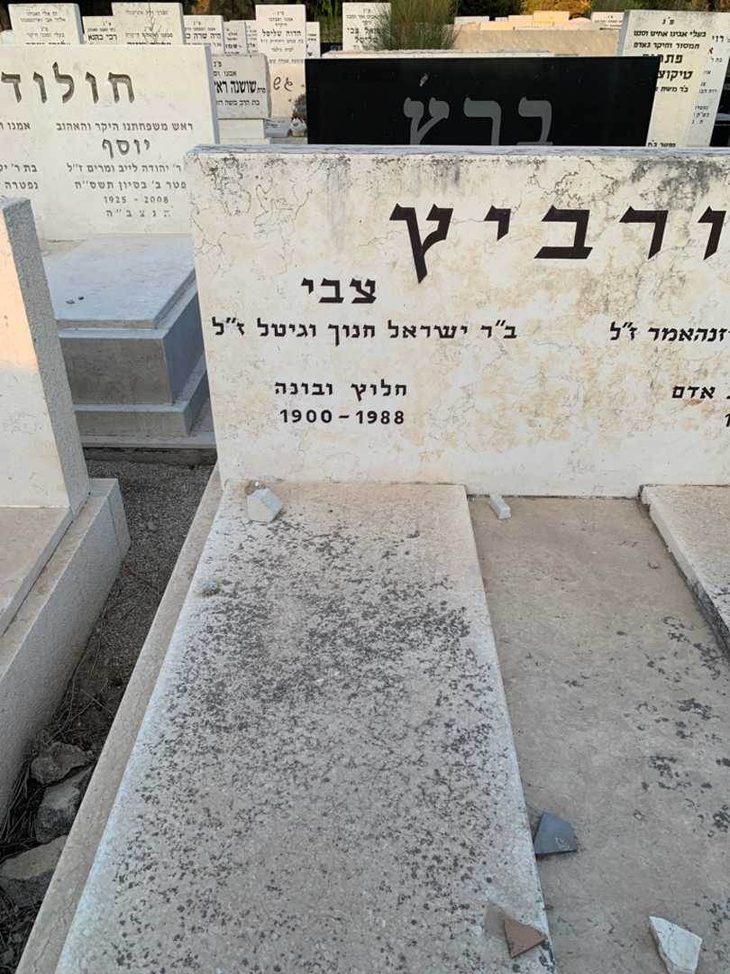 קברו של צבי הורביץ. תמונה 2