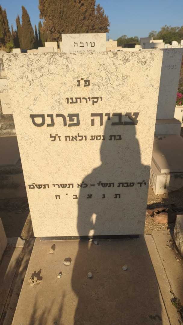 קברו של צביה פרנס