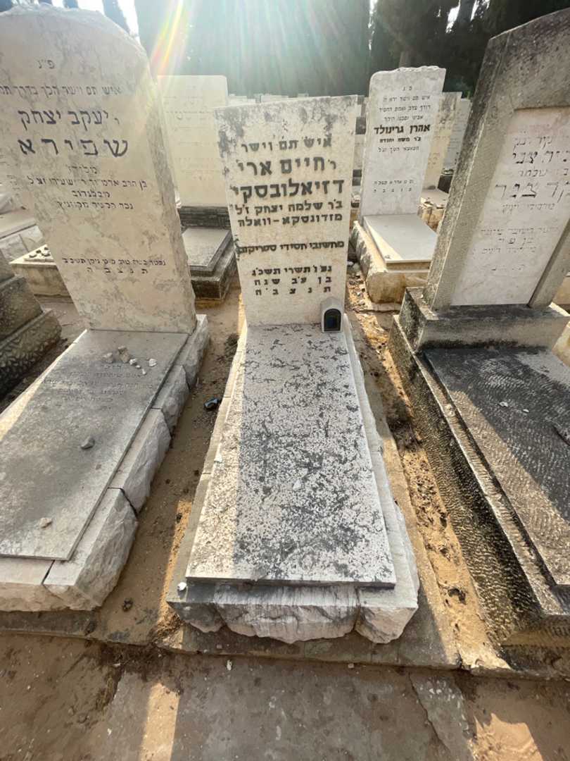 קברו של חיים ארי דזיאלובסקי