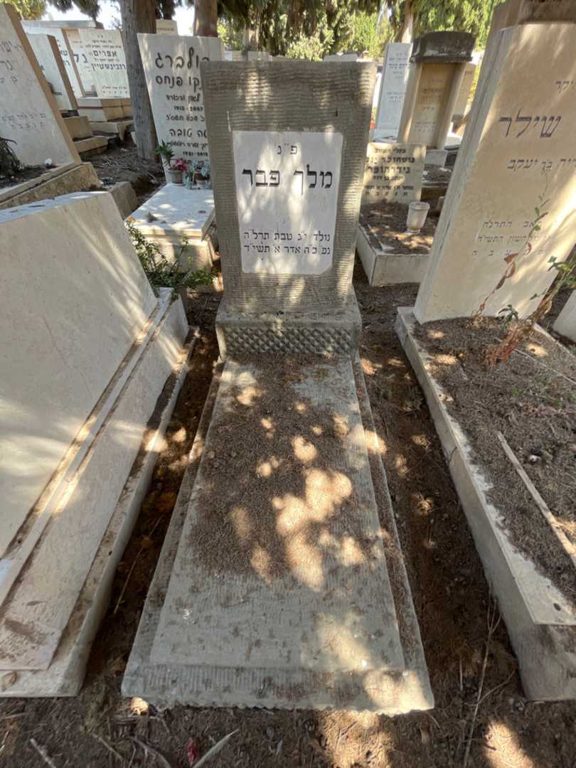 קברו של מלך פבר