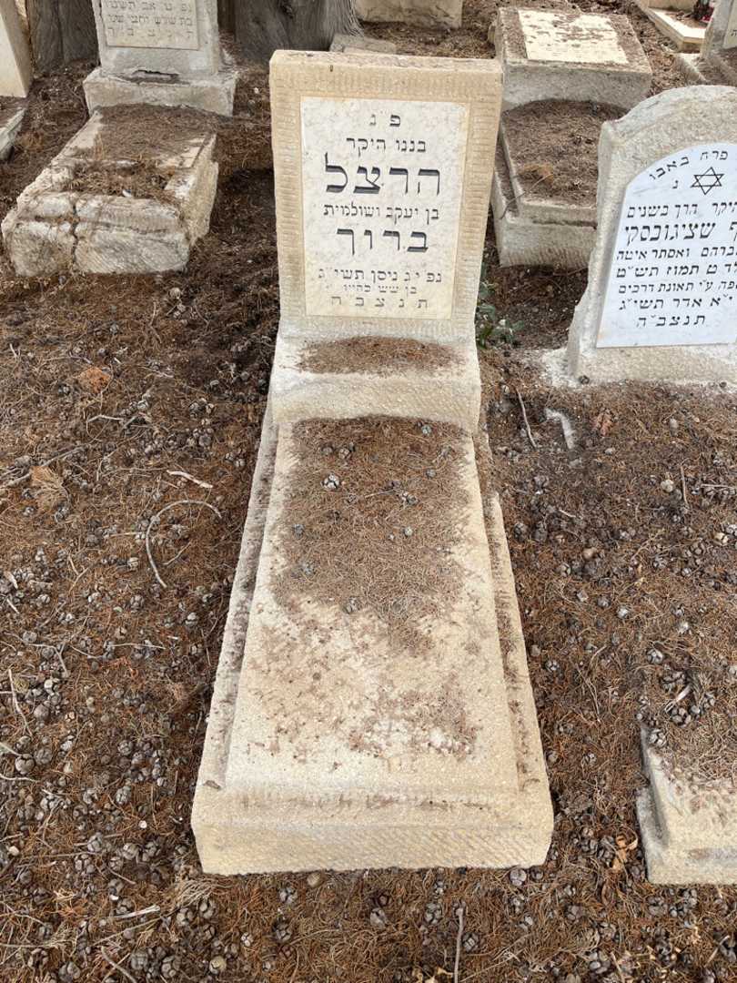 קברו של הרצל ברוך