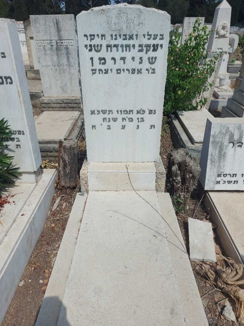 קברו של יעקב יהודה שני שנידרמן