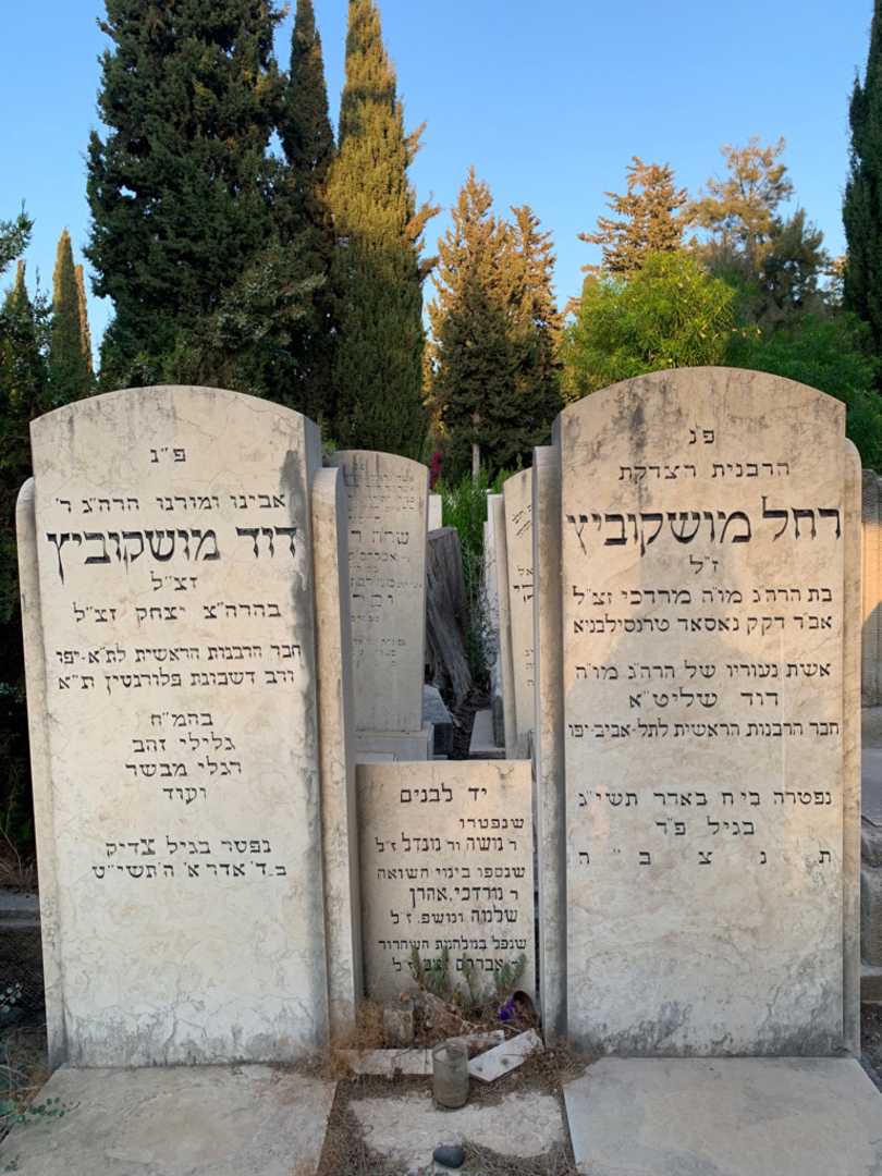 קברו של דוד מושקוביץ. תמונה 1