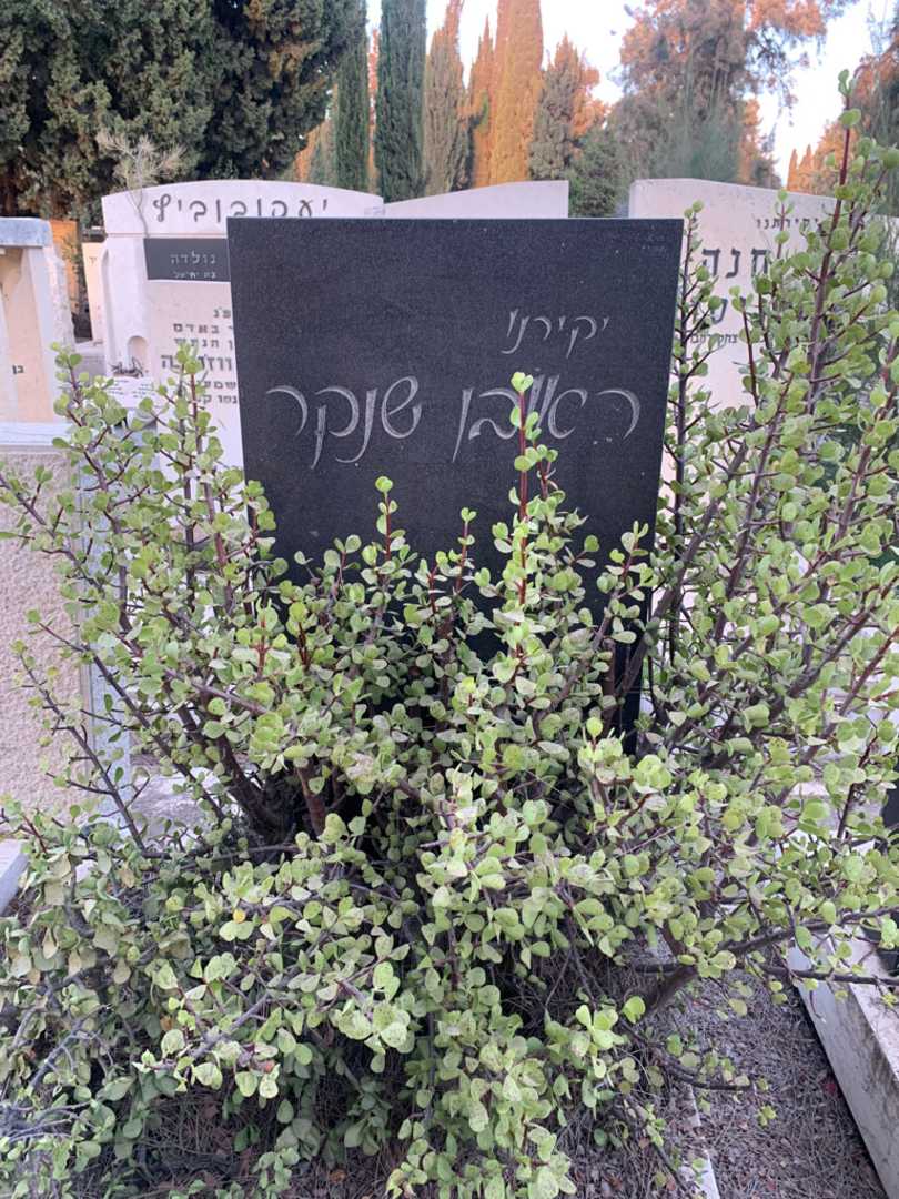 קברו של ראובן שנקר