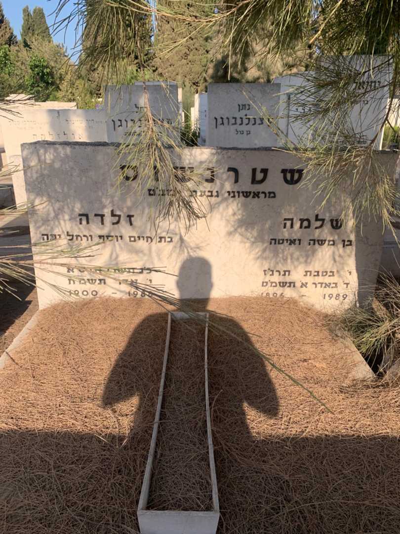 קברו של זלדה שטרנשוס. תמונה 1