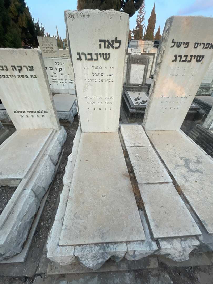 קברו של לאה שינברג. תמונה 2