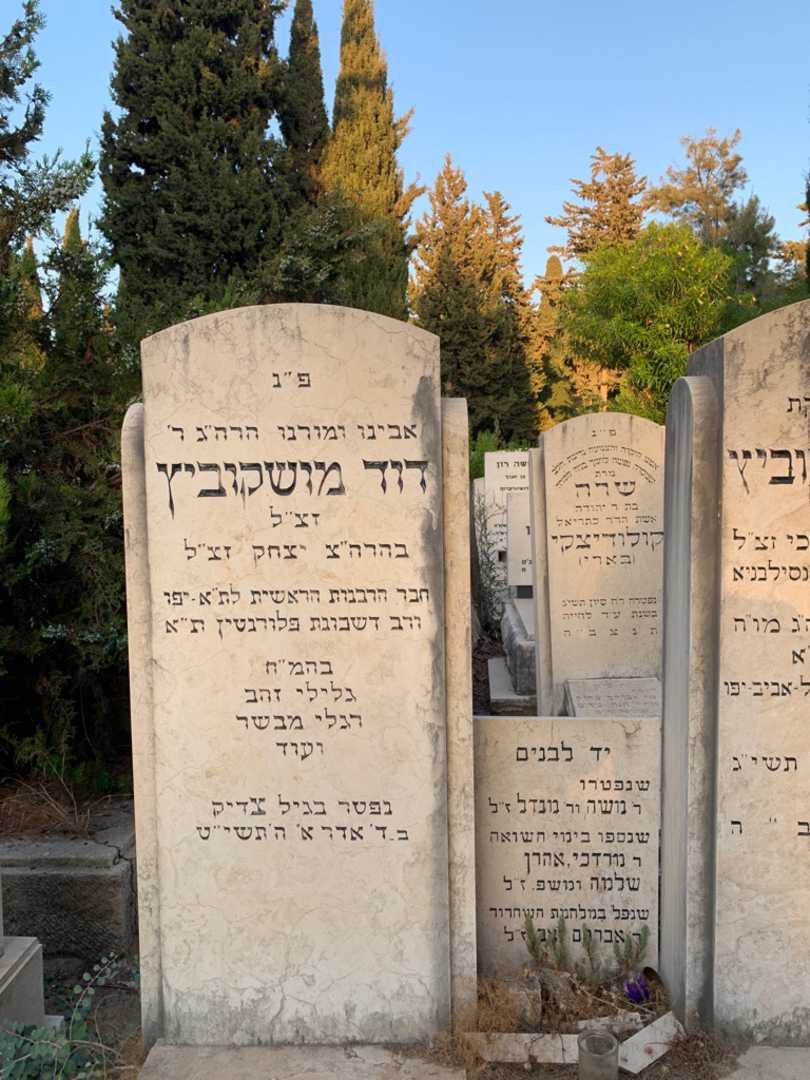 קברו של דוד מושקוביץ. תמונה 2