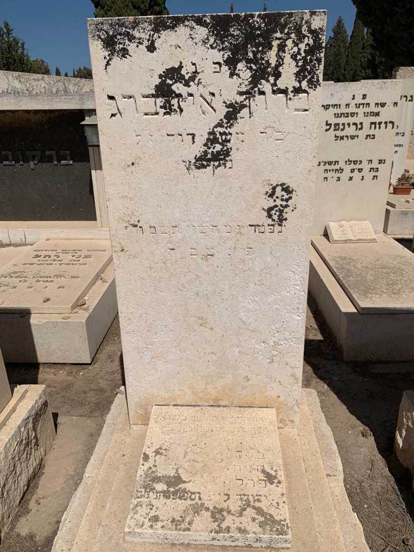 קברו של ברוך איזנברג. תמונה 2