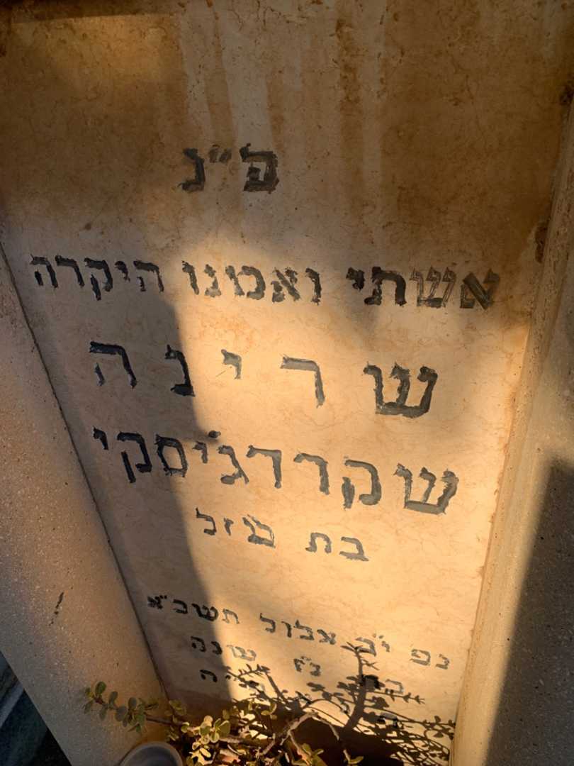 קברו של שרינה שקרדג׳יסקי. תמונה 2