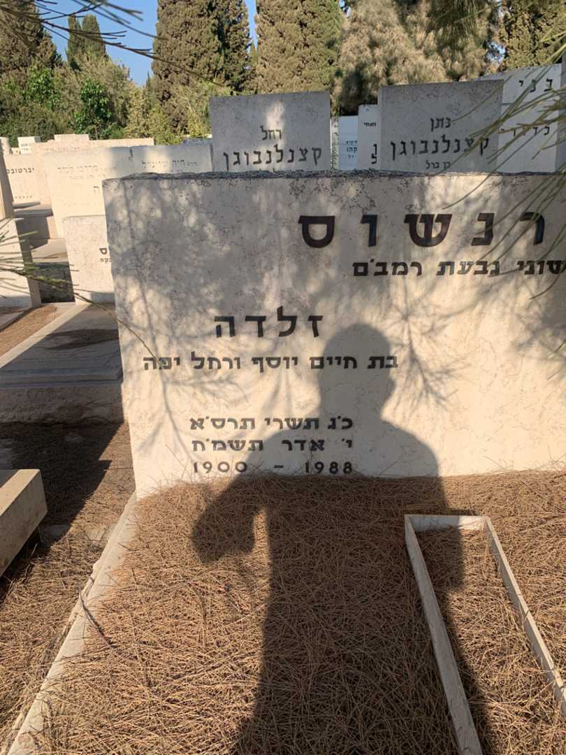 קברו של זלדה שטרנשוס. תמונה 2