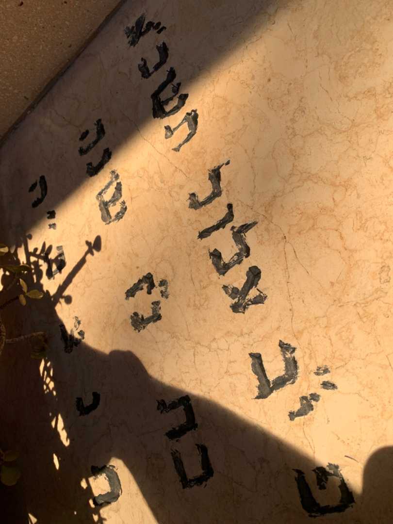 קברו של שרינה שקרדג׳יסקי. תמונה 3