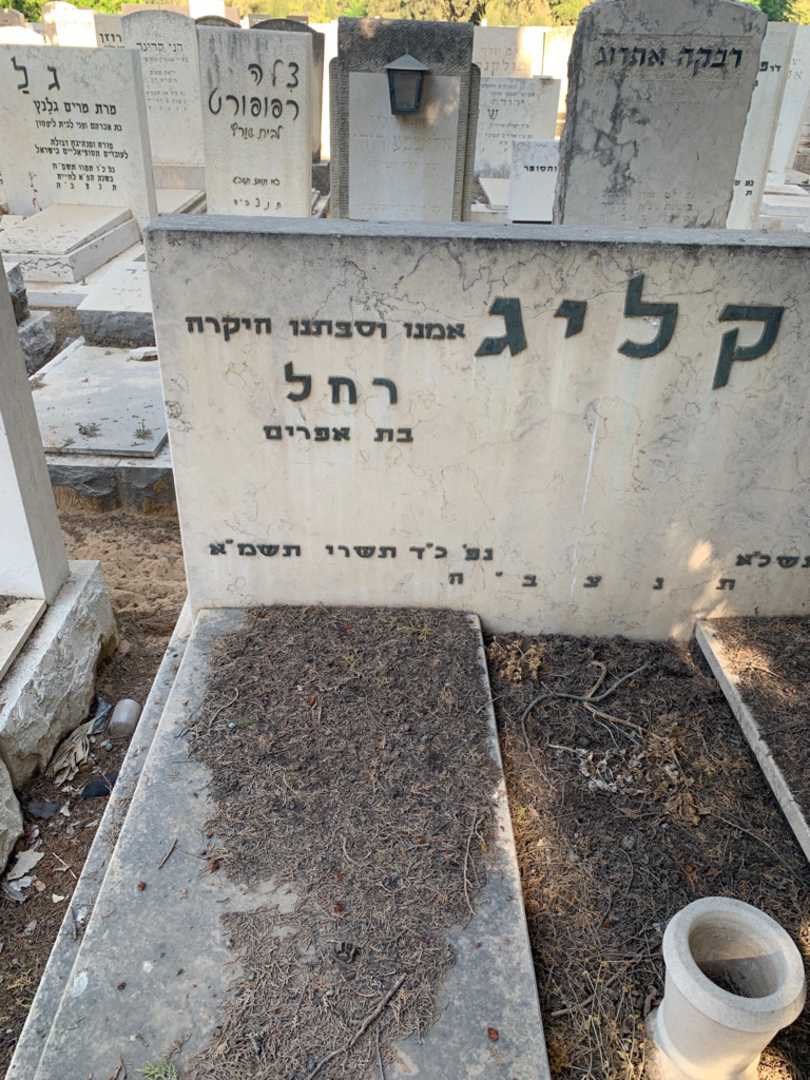קברו של רחל קליג. תמונה 2
