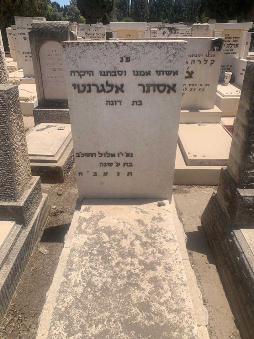 קברו של אסטר אלגרנטי