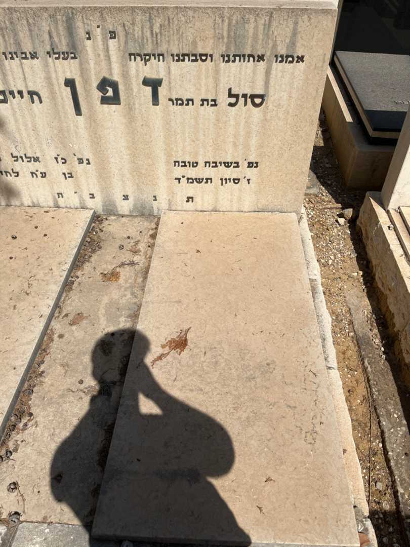 קברו של סול דפן. תמונה 1