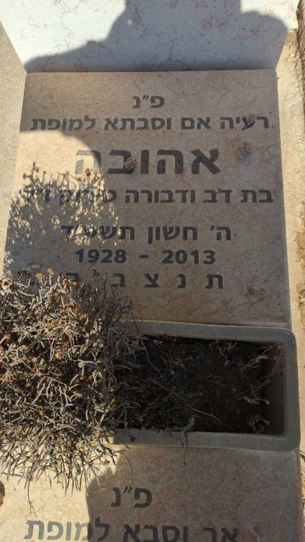 קברו של אהובה שמיר. תמונה 2