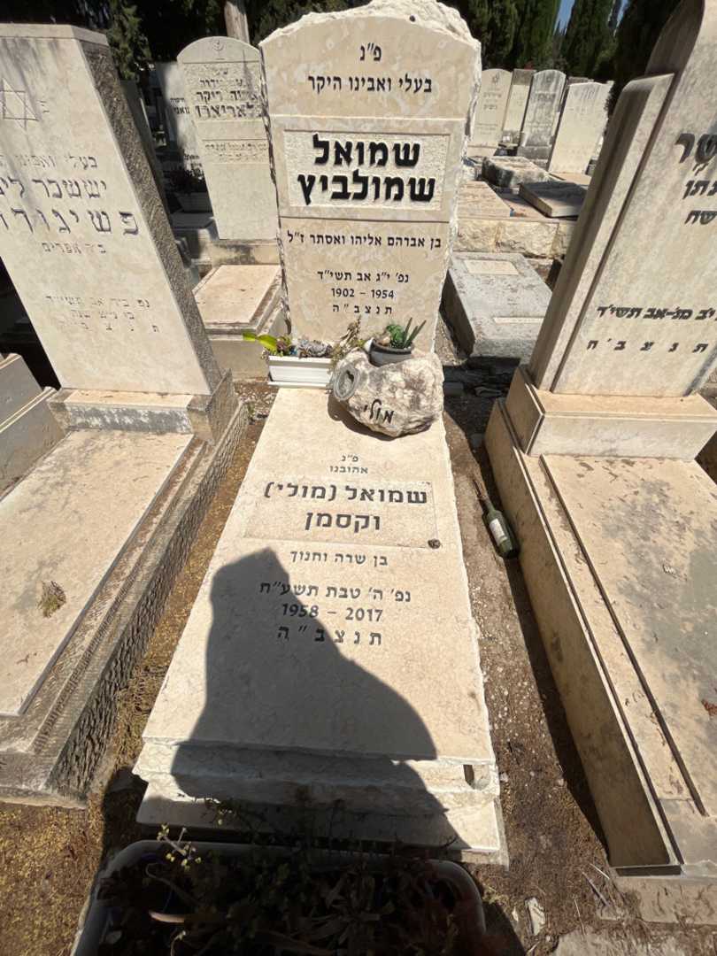קברו של שמואל שמולביץ
