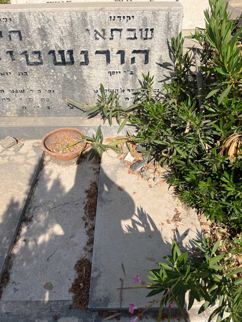 קברו של שבתאי הורנשטיין. תמונה 1