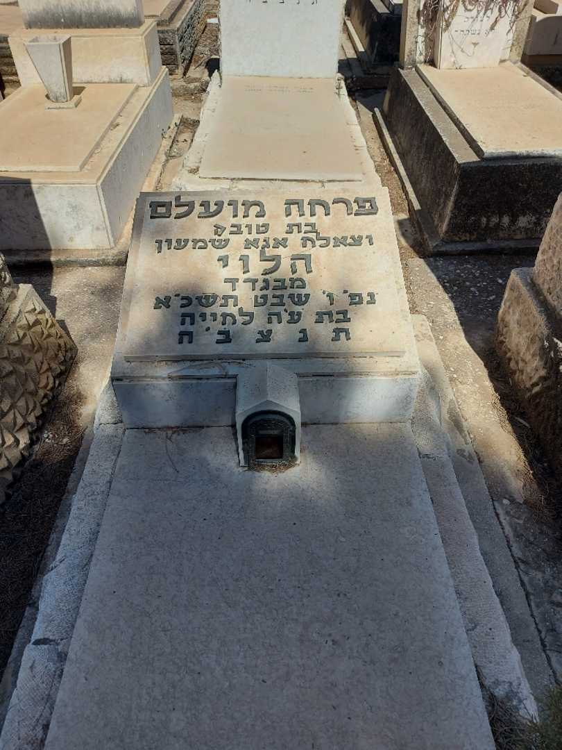 קברו של פרחה מועלם הלוי