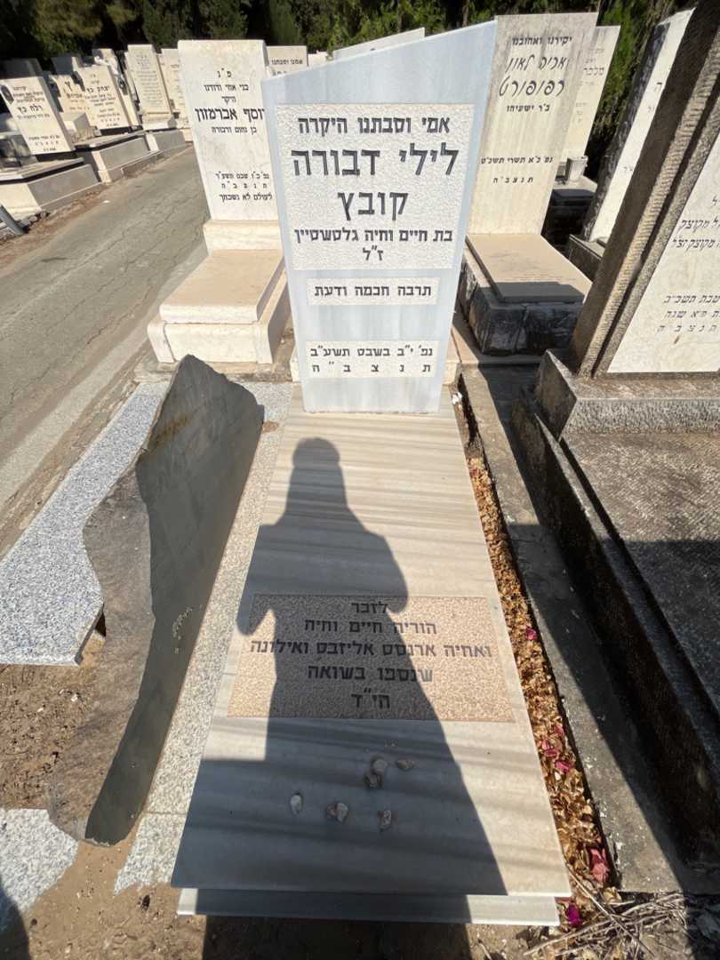 קברו של לילי דבורה קובץ גלטשטיין
