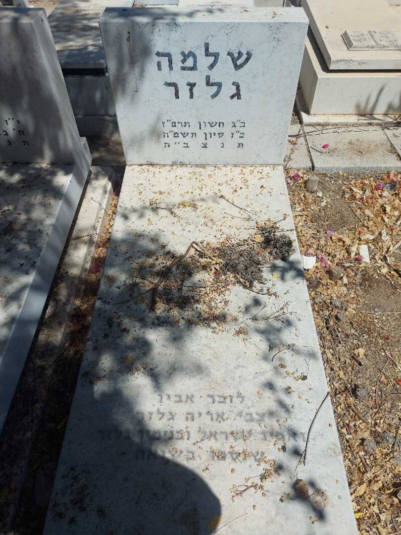קברו של שלמה גלזר